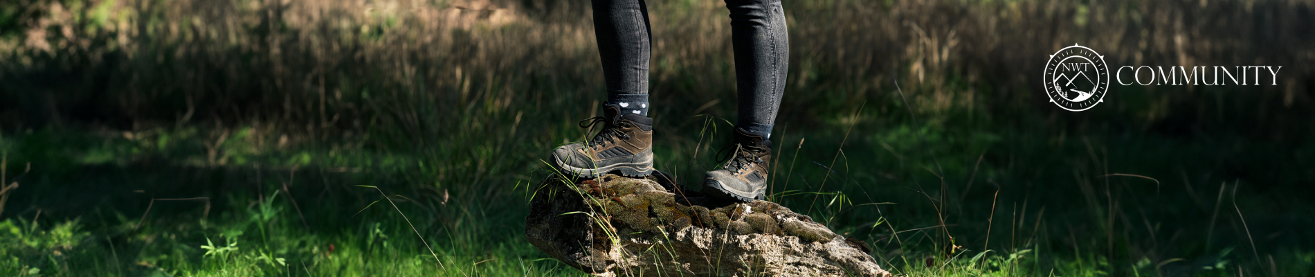Best 5 Men Walking Boots & Shoes for 2025