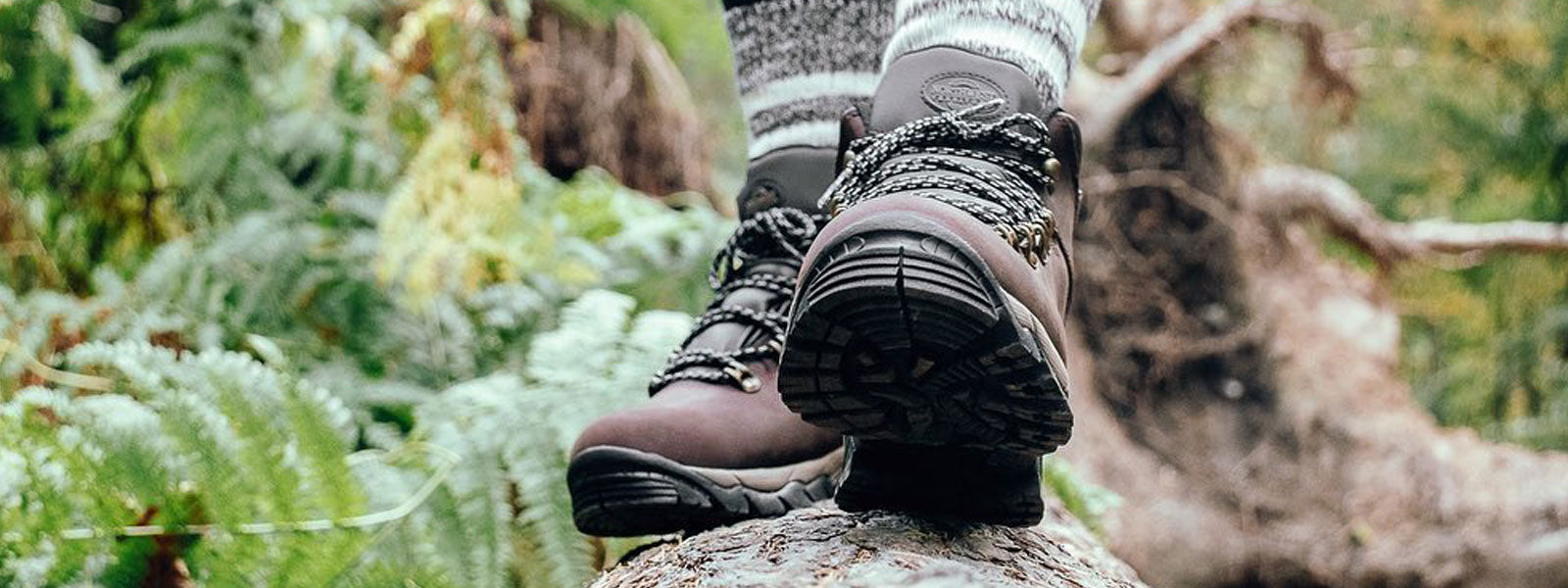 About Us Northwest Territory